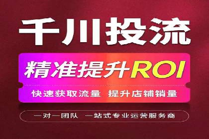 精准投放，高效转化——网站sem托管的胜利案例